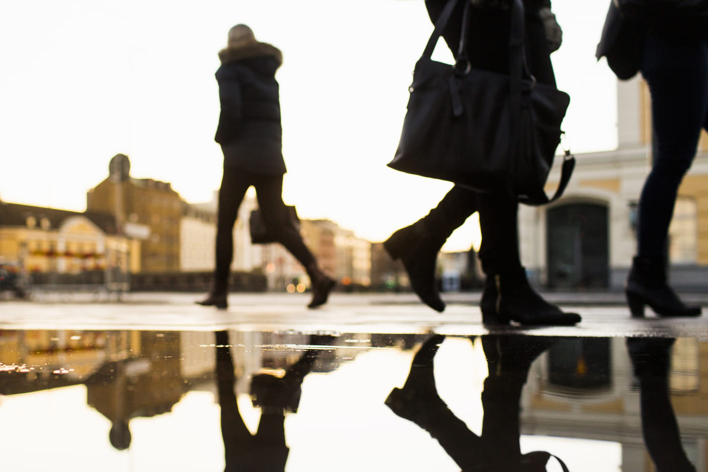 Shadow Economy